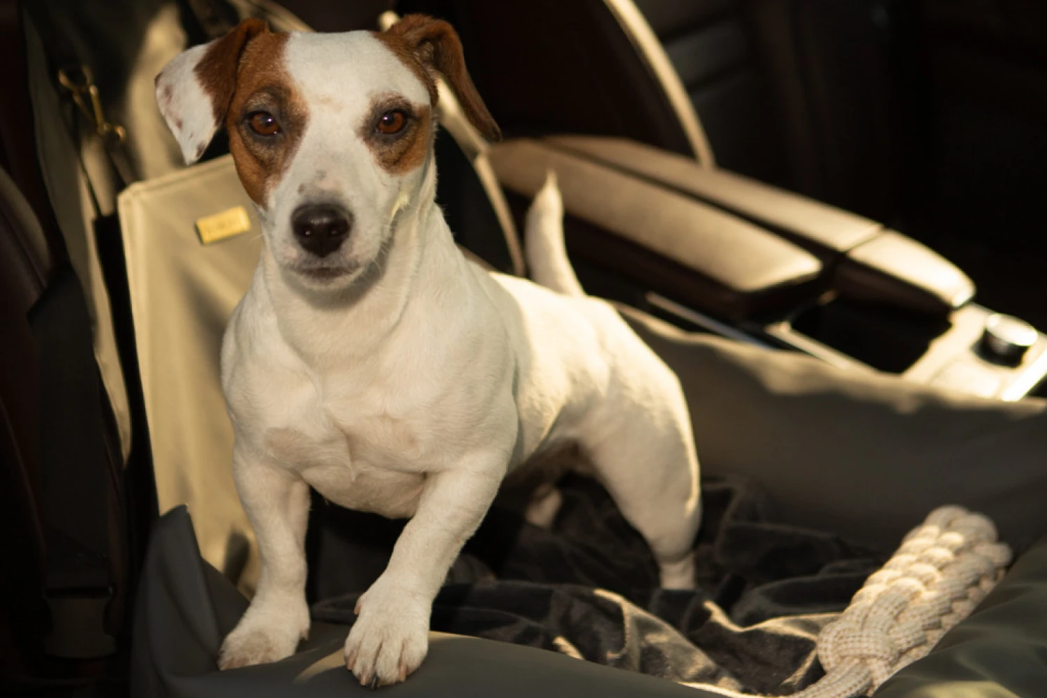 Icelandic Sheepdogs Dog Car Seat for Nissan Rogue