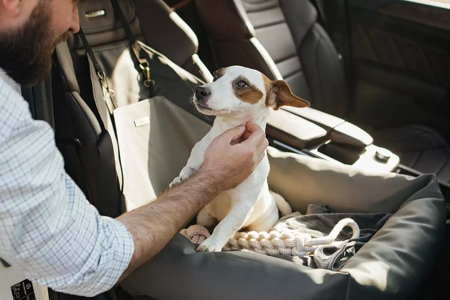 Hyundai Santa Fe Dog Car Seat for Dachshunds