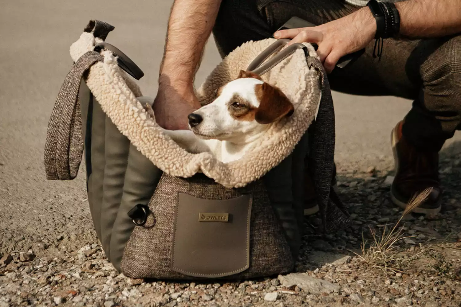 Mazda3 Dog Carrier Car Seat for Chihuahua