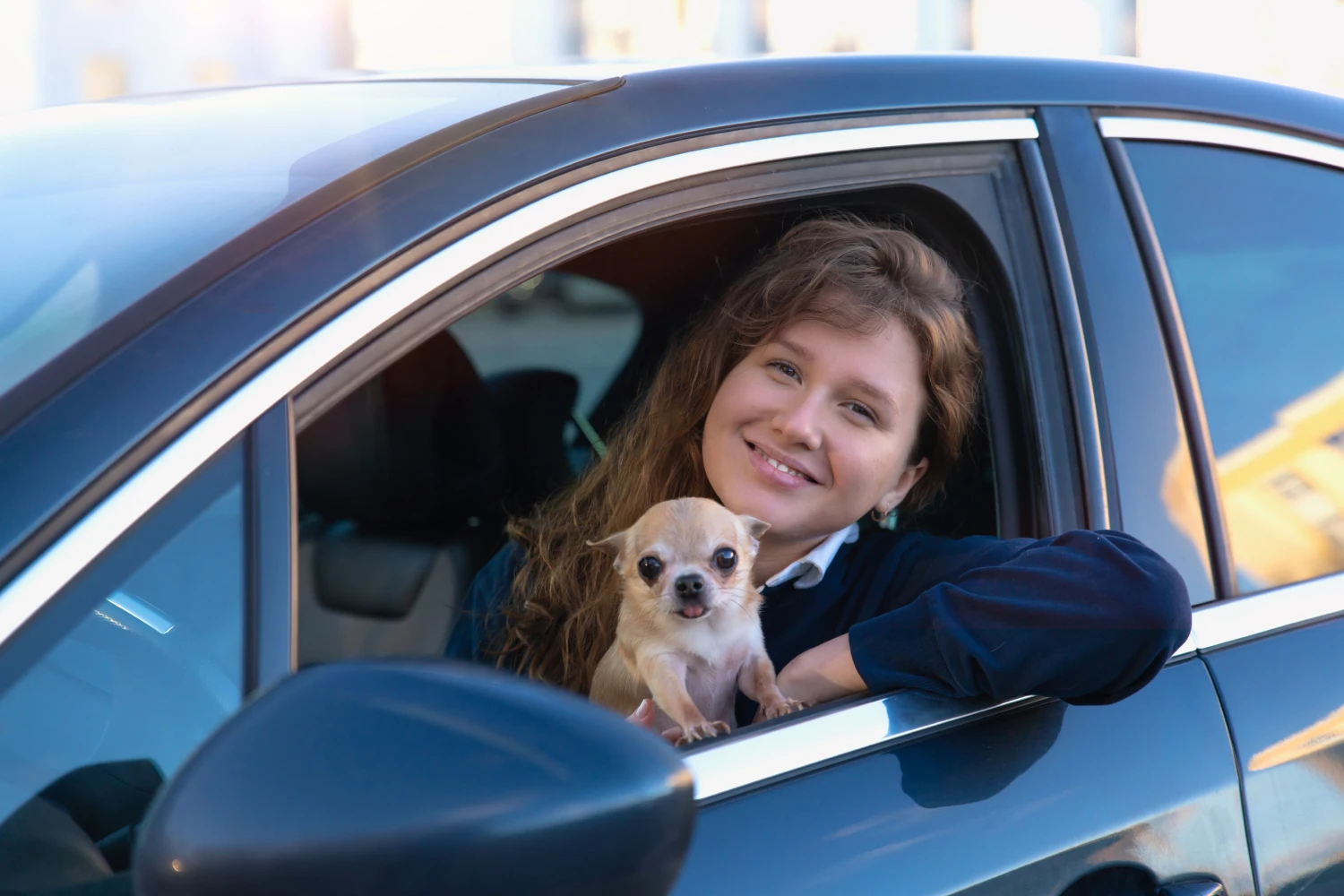 Mazda3 Dog Carrier Car Seat for Chihuahua