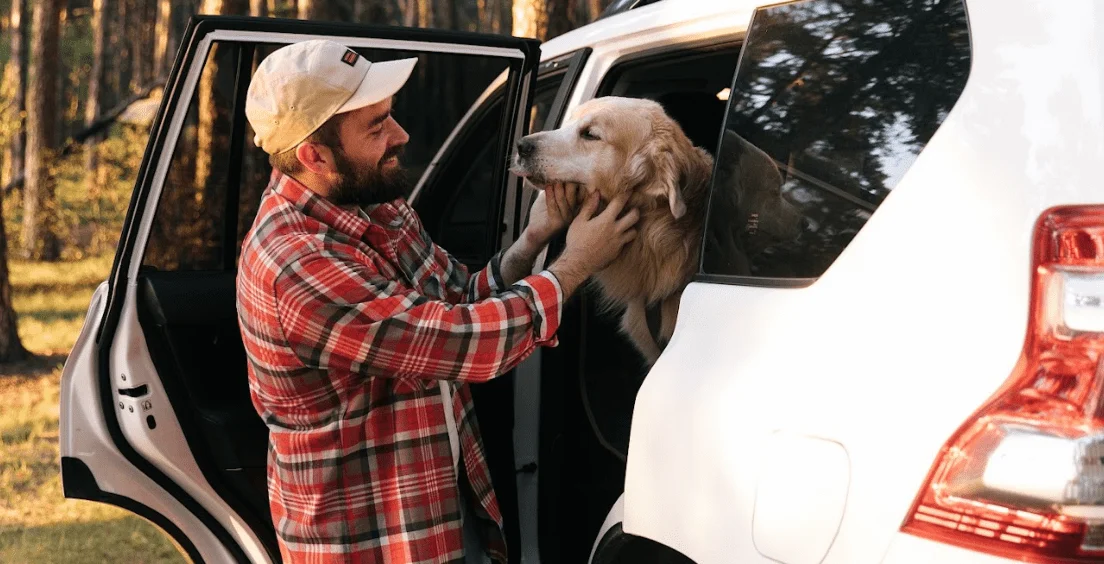 Ford Ranger Dog Safety Belt for Bouviers des Flandres