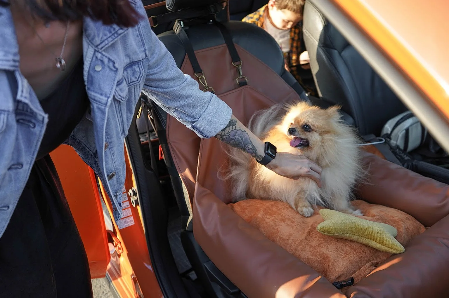 Hyundai Santa Fe Dog Car Seat for Dachshunds